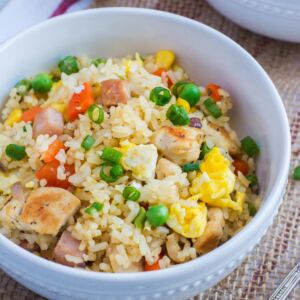 Close up of the fried rice in a white bowl.