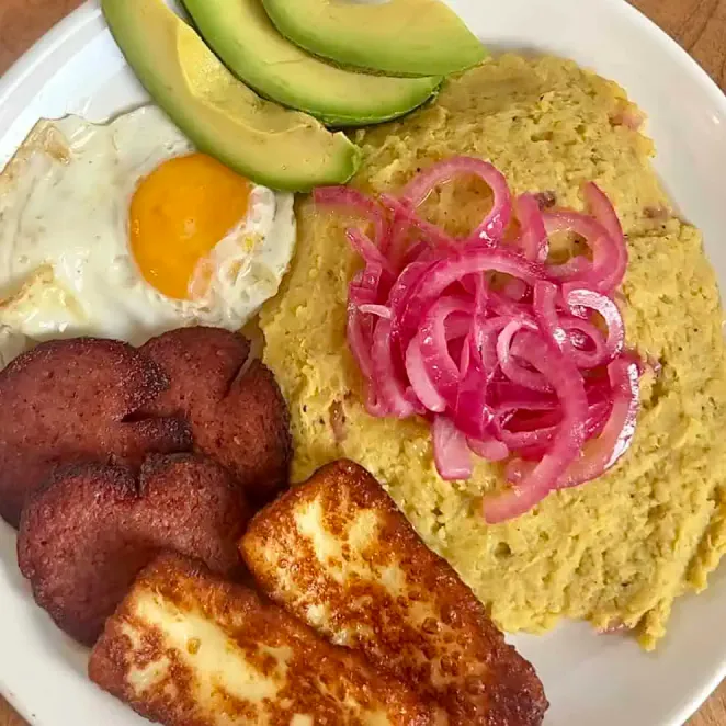 mangu dominicano